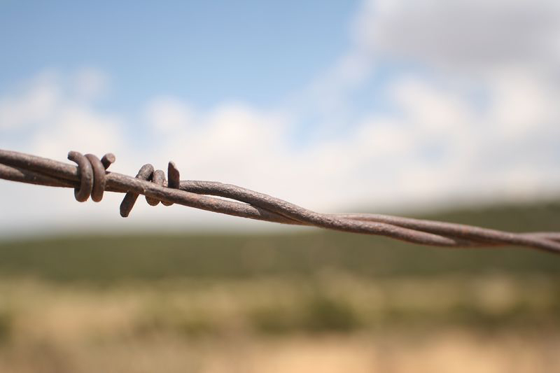 Barbed Barbed