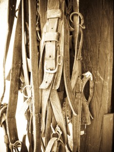 belts belts